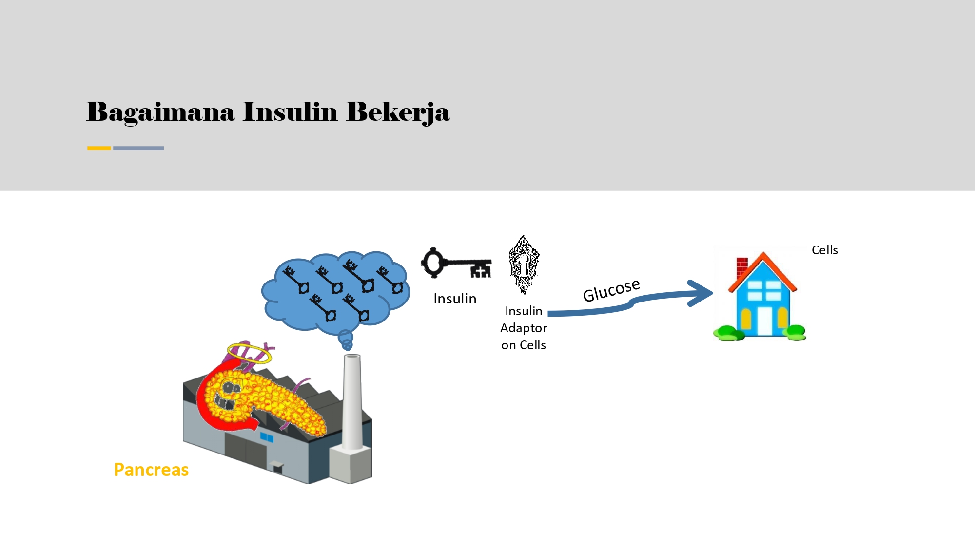 Education content image